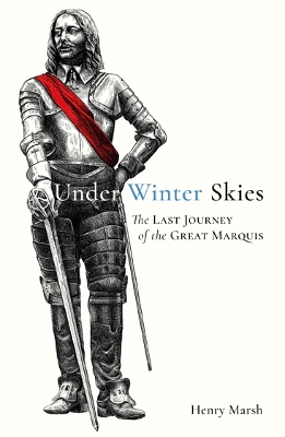 Book cover for Under Winter Skies