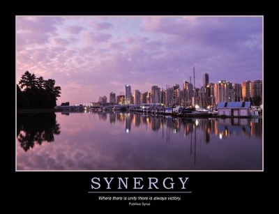 Book cover for Synergy Poster