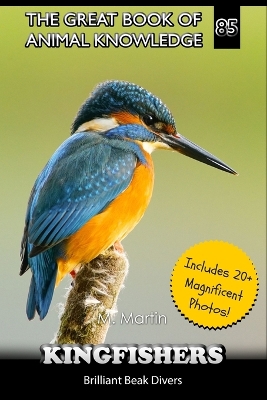 Book cover for Kingfishers