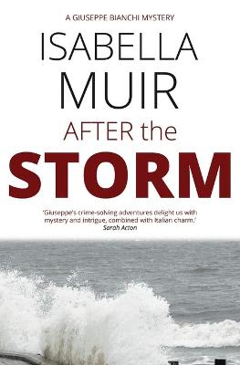 Book cover for After the Storm