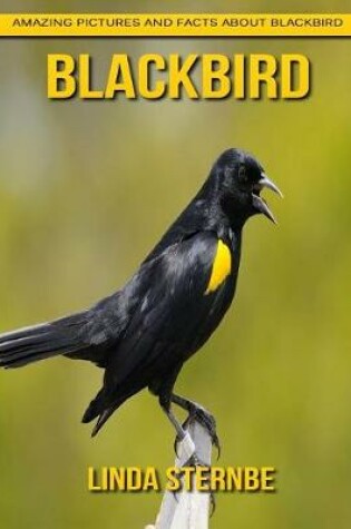 Cover of Blackbird