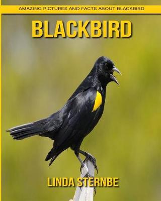 Book cover for Blackbird