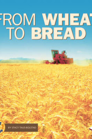 Cover of From Wheat to Bread