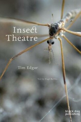 Cover of Insect Theatre