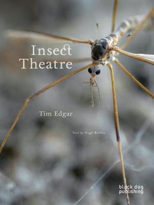 Cover of Insect Theatre