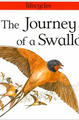 Cover of Journey of a Swallow