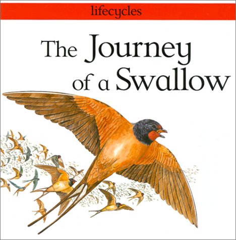 Cover of Journey of a Swallow