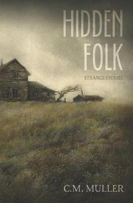 Book cover for Hidden Folk