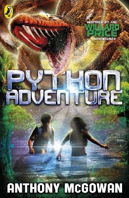Cover of Python Adventure
