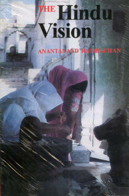 Book cover for The Hindu Vision