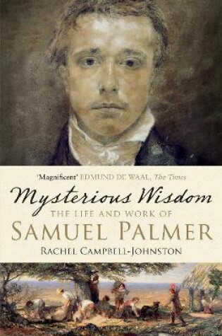 Cover of Mysterious Wisdom