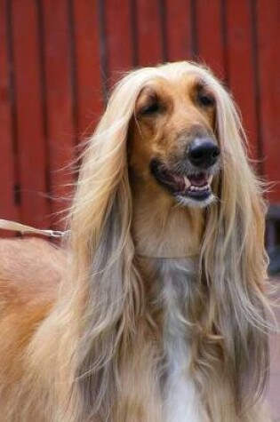 Cover of The Afghan Hound (Persian Greyhound) Dog Journal