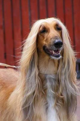 Book cover for The Afghan Hound (Persian Greyhound) Dog Journal