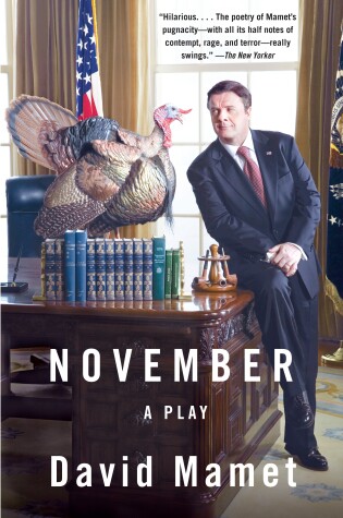 Cover of November