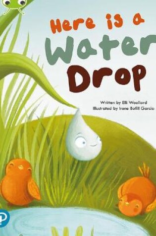 Cover of Bug Club Shared Reading: Here is a Water Drop (Year 2)
