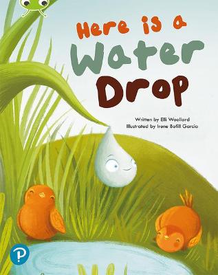 Cover of Bug Club Shared Reading: Here is a Water Drop (Year 2)