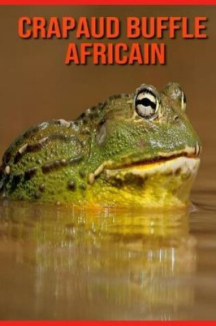 Cover of Crapaud Buffle Africain