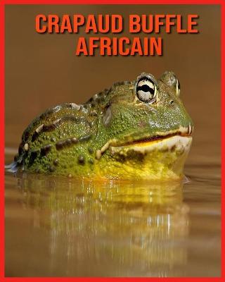 Book cover for Crapaud Buffle Africain