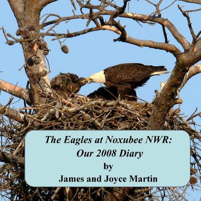 Book cover for The Eagles at Noxubee NWR: Our 2008 Diary