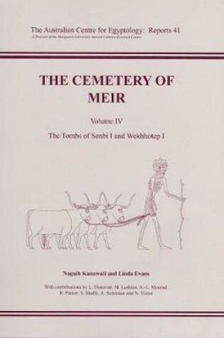 Cover of The Cemetery of Meir