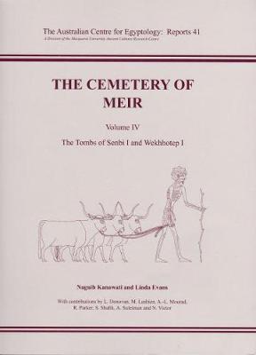 Book cover for The Cemetery of Meir