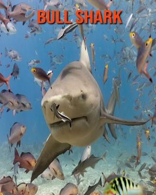 Book cover for Bull Shark