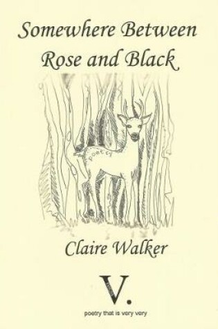 Cover of Somewhere Between Rose and Black