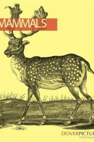 Cover of Mammals