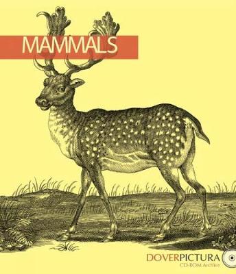 Book cover for Mammals