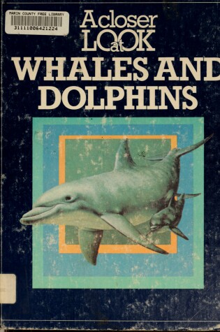 Cover of A Closer Look at Whales and Dolphins