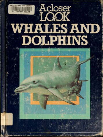 Book cover for A Closer Look at Whales and Dolphins