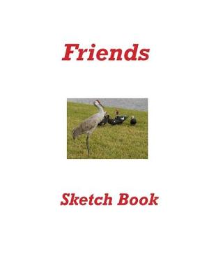 Book cover for Friends Sketch Book