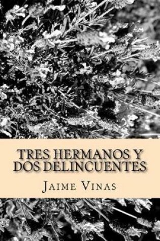 Cover of Tres Hermanos y dos Delincuentes