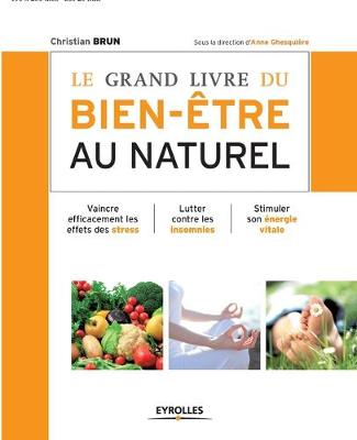 Book cover for Le grand livre du bien-être au naturel