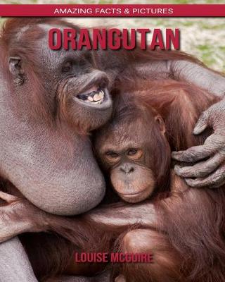 Book cover for Orangutan