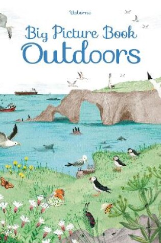 Cover of Big Picture Book Outdoors