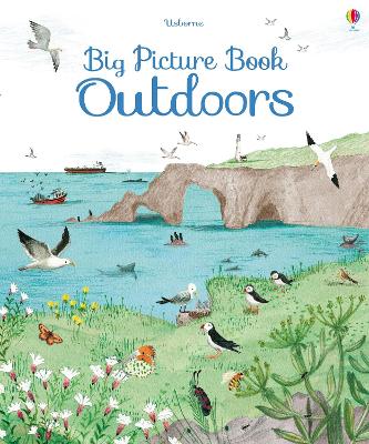 Book cover for Big Picture Book Outdoors