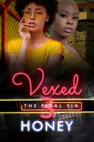 Cover of Vexed 3