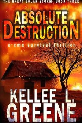 Cover of Absolute Destruction - A CME Survival Thriller