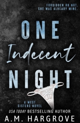 Book cover for One Indecent Night