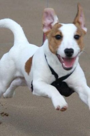 Cover of Excited Jack Russell Terrier at the Beach Journal