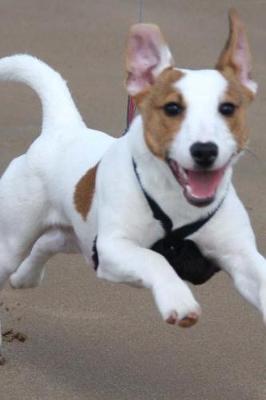 Book cover for Excited Jack Russell Terrier at the Beach Journal