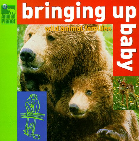Cover of Bringing Up Baby Animal Families