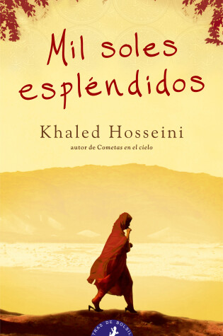 Cover of Mil soles esplendidos/ A Thousand Splendid Suns