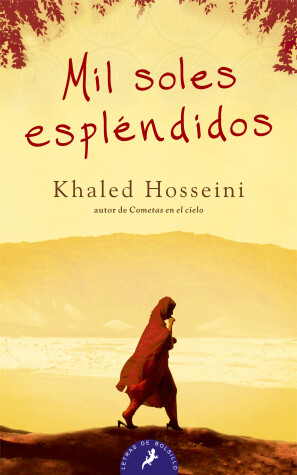 Book cover for Mil soles esplendidos/ A Thousand Splendid Suns