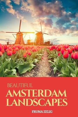 Book cover for Beautiful Amsterdam Landscapes