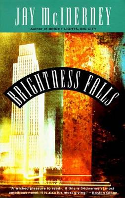 Book cover for Brightness Falls