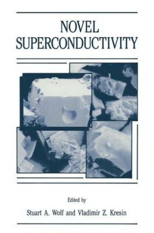 Cover of Novel Superconductivity