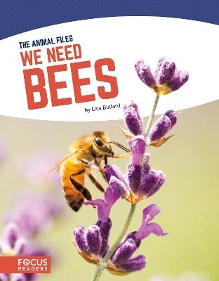 Book cover for Animal Files: We Need Bees