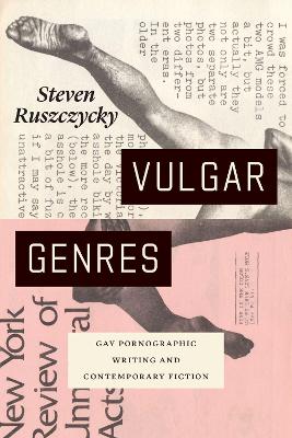 Cover of Vulgar Genres